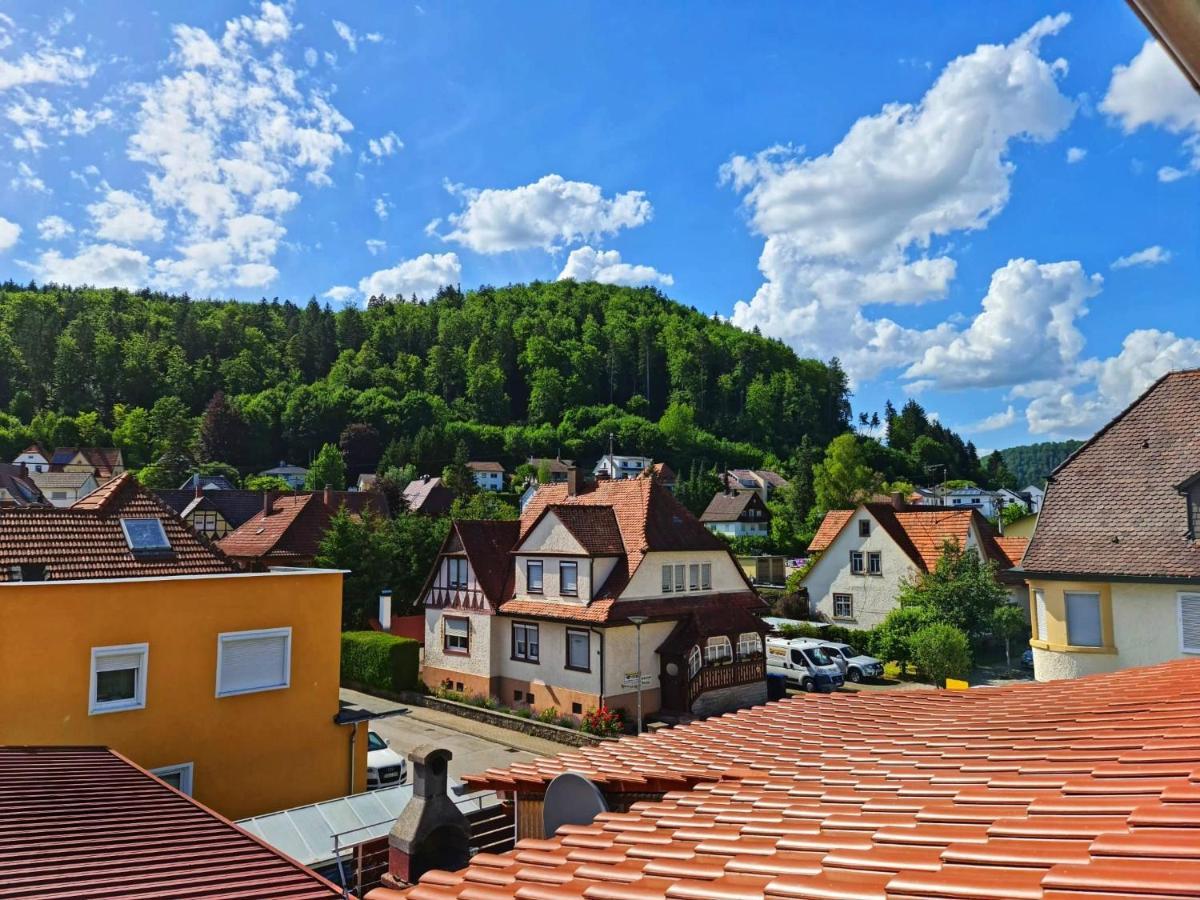 Pension Transilvania Immendingen 외부 사진
